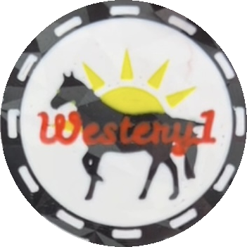 Westery1 (Rare 2024)