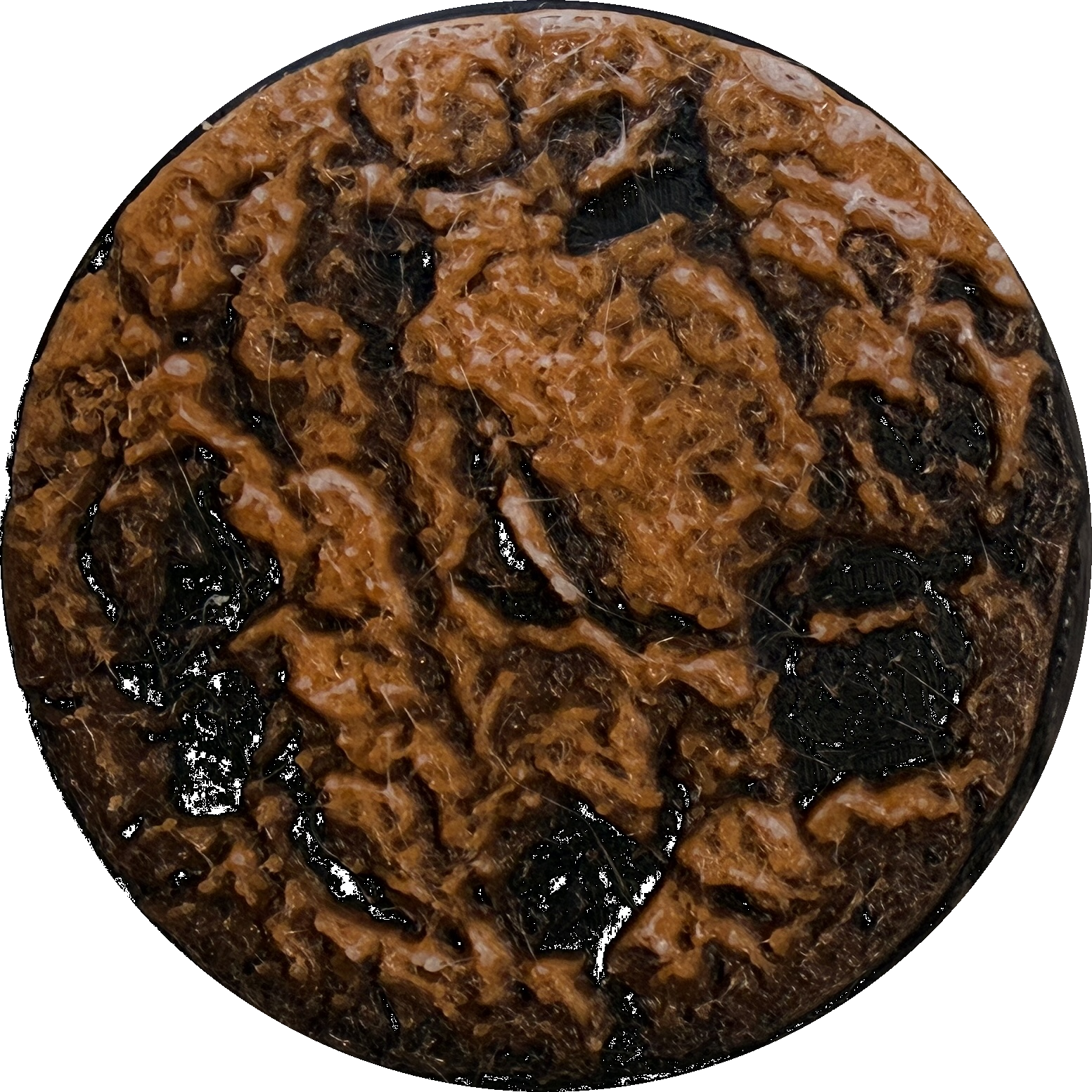 Cookie